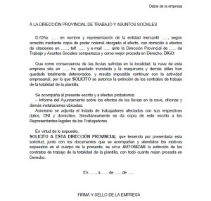 Ejemplo de carta de despido colectivo  Ejemplos de carta