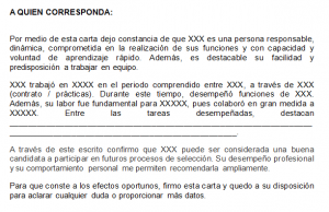 Ejemplo De Carta De Recomendacion Estandar Referencia