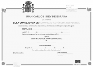Certificado de profesionalidad ccaa nivel 3