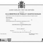 Certificado de profesionalidad nivel 3 título