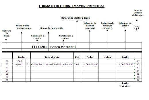 ducha En cantidad Polinizar Ejemplo de libro mayor | Modelo de libro mayor | ¿Qué es el libro mayor?