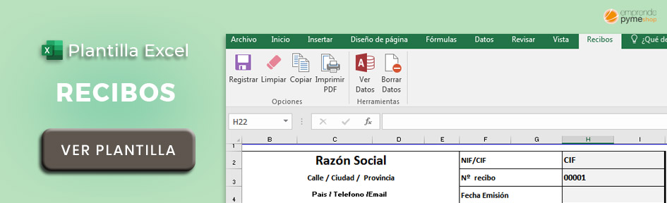 Ejemplo de recibo en Excel plantilla